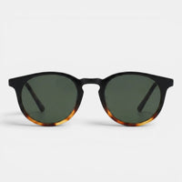 Tortoise Brown
