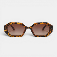 Tortoise Brown